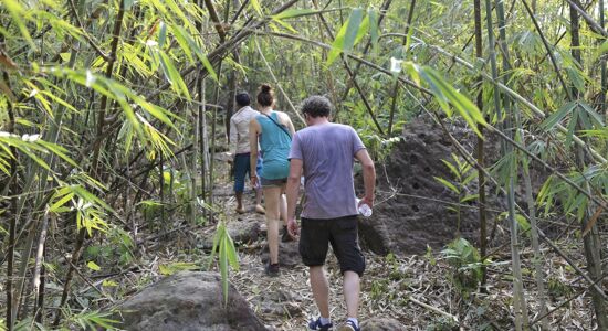 Cardamom Mountain Trekking